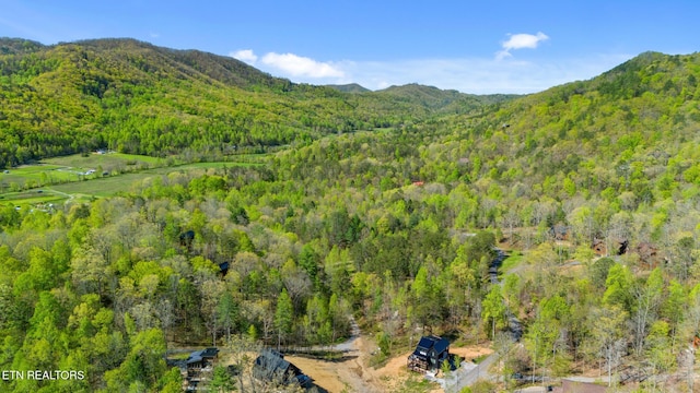 mountain view with a forest