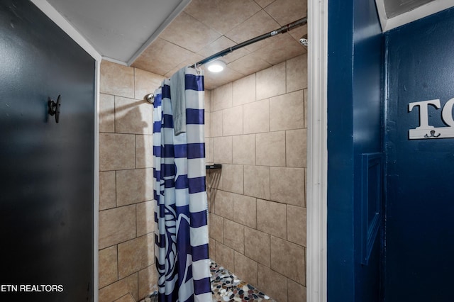 1917 Bootbluff Trl, Dandridge, TN 37725 - bathroom featuring tiled shower