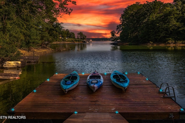 1917 Bootbluff Trl, Dandridge, TN 37725 - dock area with a water view