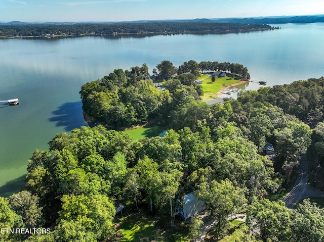 1917 Bootbluff Trl, Dandridge, TN 37725 - aerial view of a nearby body of water