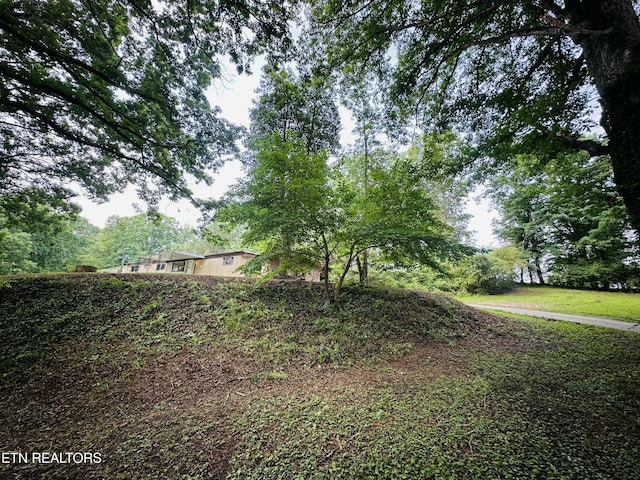 1238 Double S Rd, Dayton, TN 37321 - view of yard