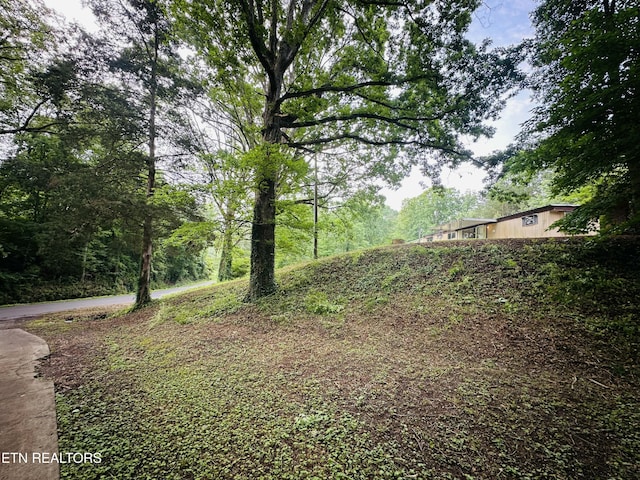 1238 Double S Rd, Dayton, TN 37321 - view of yard