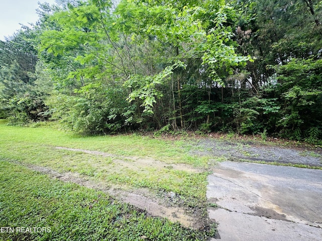 1238 Double S Rd, Dayton, TN 37321 - view of grassy yard featuring a forest view