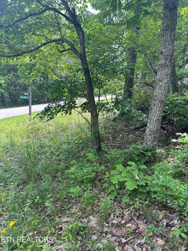 186 Trentwood Dr, Fairfield Glade, TN 38558 - photo 3