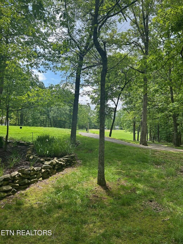 186 Trentwood Dr, Fairfield Glade, TN 38558 - photo 1