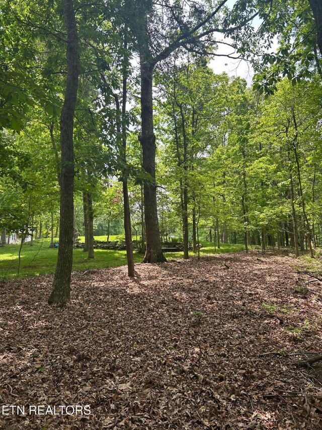 186 Trentwood Dr, Fairfield Glade, TN 38558 - photo 5