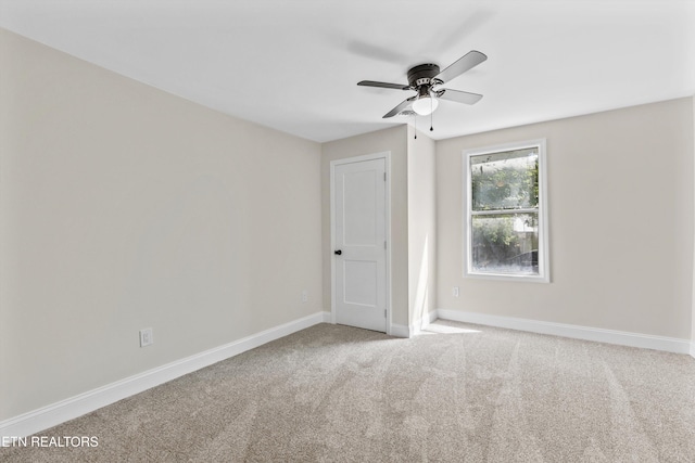 1609 Berry Rd, Knoxville, TN 37920 - photo 21
