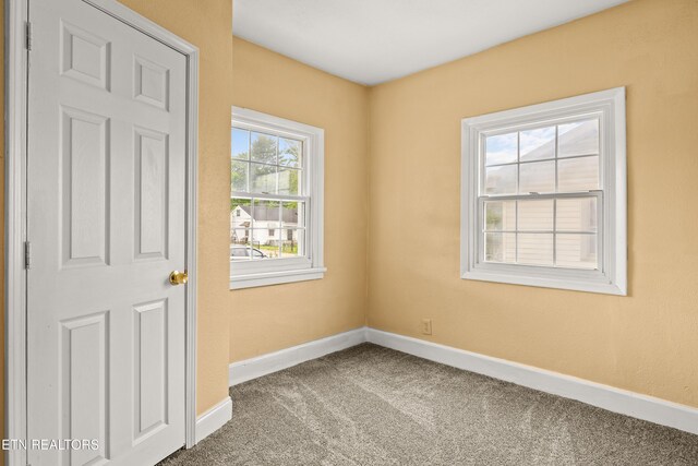 1717 Beaumont Ave, Knoxville, TN 37921 - photo 14