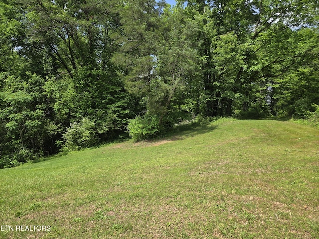 241 Oswego Rd, Jellico, TN 37762 - view of grassy yard