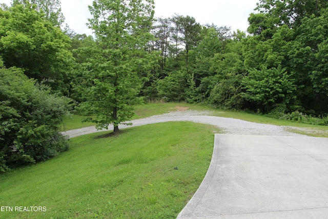 241 Oswego Rd, Jellico, TN 37762 - view of road