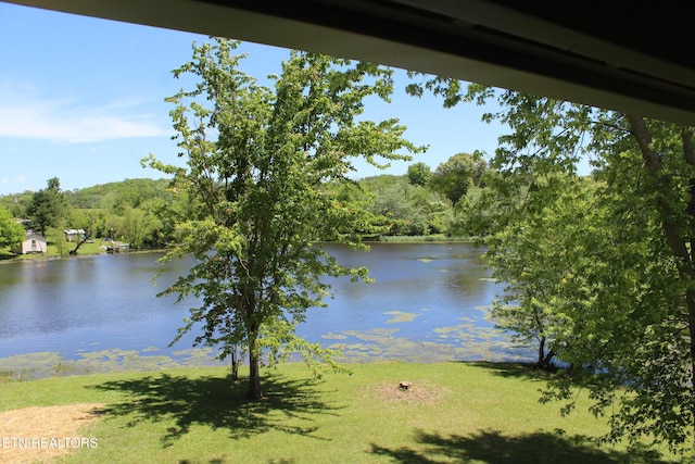 515 Silver Lake Dr, Jamestown, TN 38556 - water view featuring a forest