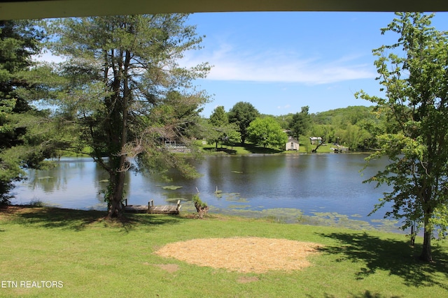 515 Silver Lake Dr, Jamestown, TN 38556 - water view