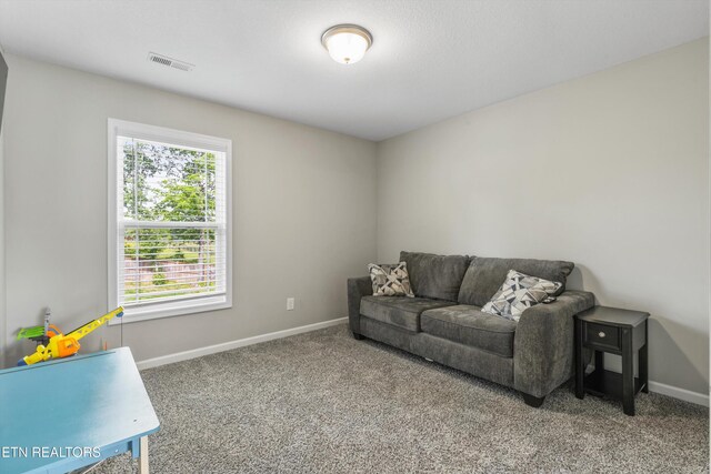 12630 Myrtle Ridge Ln, Knoxville, TN 37932 - photo 24