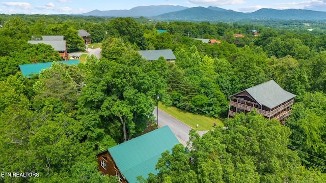 aerial view of a forest and a mountainous background