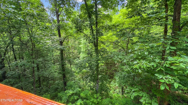 view of tree filled area