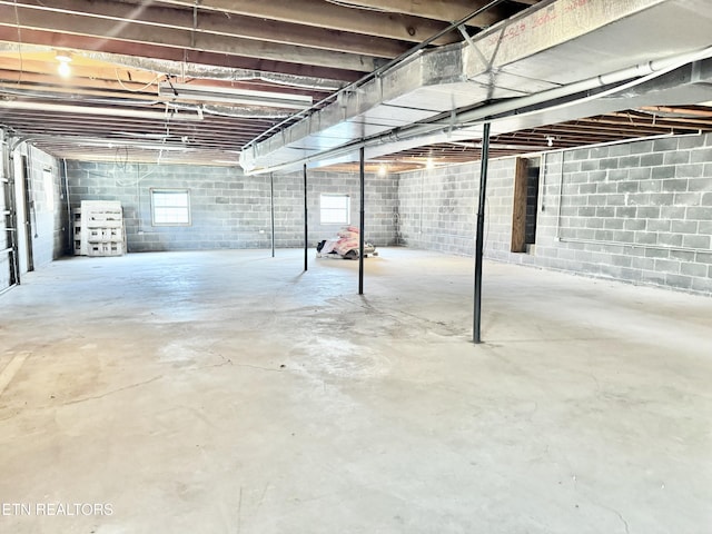 200 Harmon Cir, New Tazewell, TN 37825 - below grade area with concrete block wall