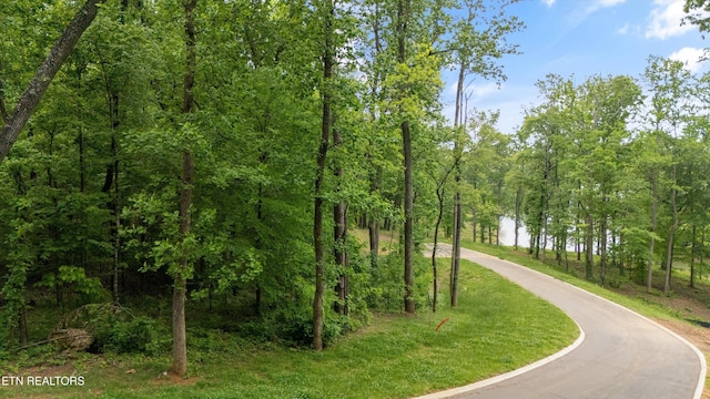 LOT246R Arcadia Peninsula Way, Knoxville, TN 37922