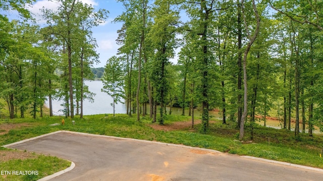 LOT246R Arcadia Peninsula Way, Knoxville, TN 37922