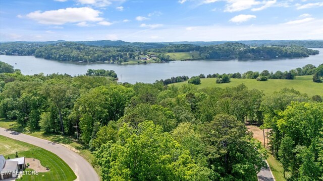 LOT246R Arcadia Peninsula Way, Knoxville, TN 37922