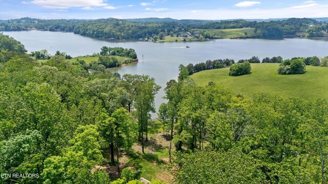 LOT246R Arcadia Peninsula Way, Knoxville, TN 37922