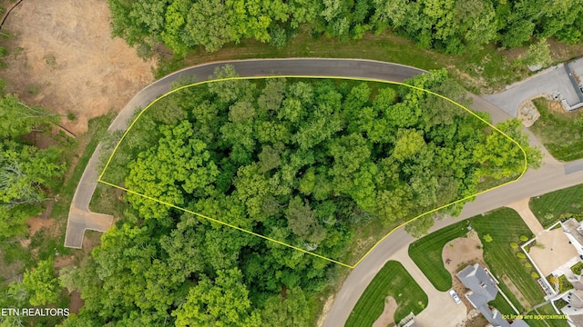LOT246R Arcadia Peninsula Way, Knoxville, TN 37922