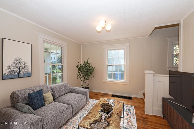 1431 Remsen St, Alcoa, TN 37701 - living area with ornamental molding and light wood-style floors