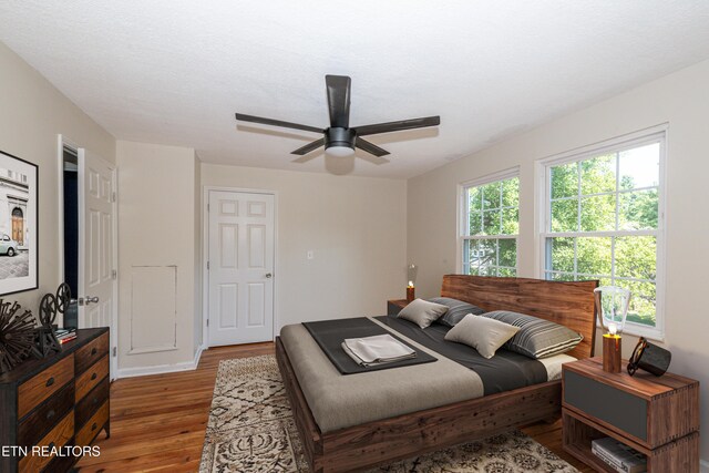 1431 Remsen St, Alcoa, TN 37701 - bedroom featuring light wood-style floors and a ceiling fan