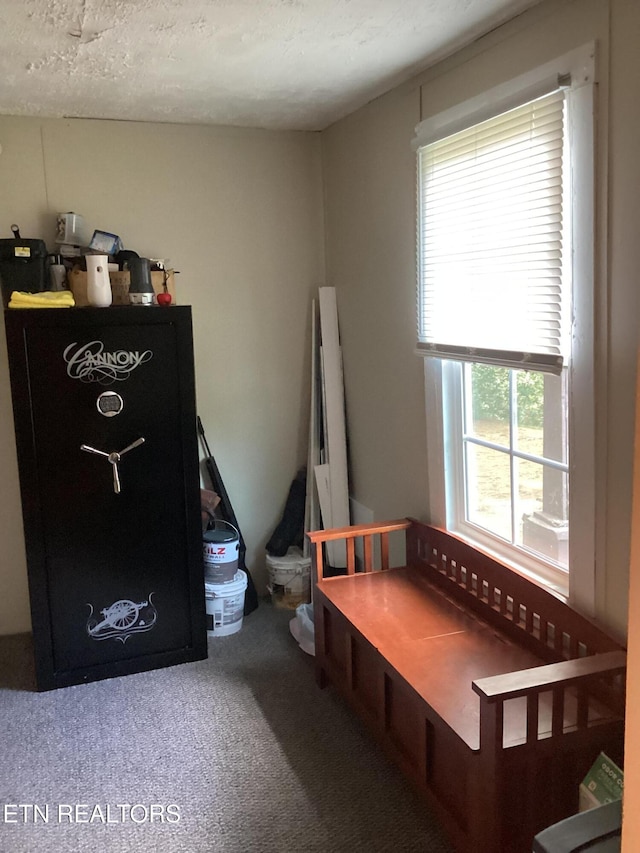1903 Pleasant Ridge School Rd, Talbott, TN 37877 - bedroom featuring carpet flooring