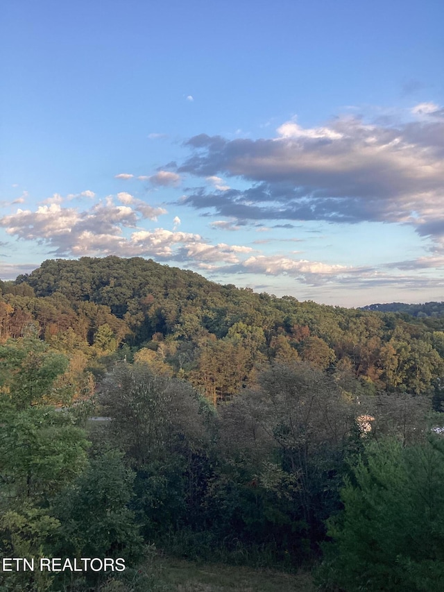 1903 Pleasant Ridge School Rd, Talbott, TN 37877 - view of mountain backdrop with a forest