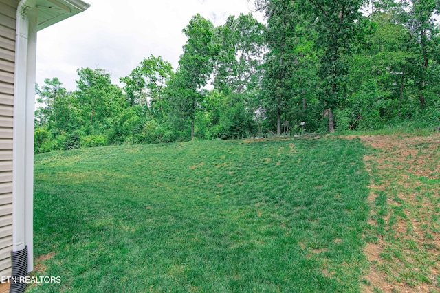 548 Cliff St, Morristown, TN 37814 - view of green lawn