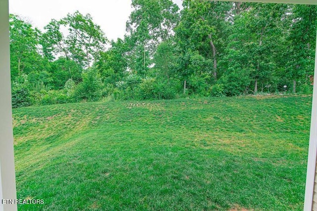 548 Cliff St, Morristown, TN 37814 - view of grassy yard