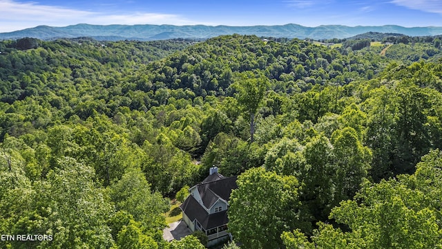 221 Stony Rock Ln, Jacksboro, TN 37757 - drone / aerial view of a forest and a mountain backdrop