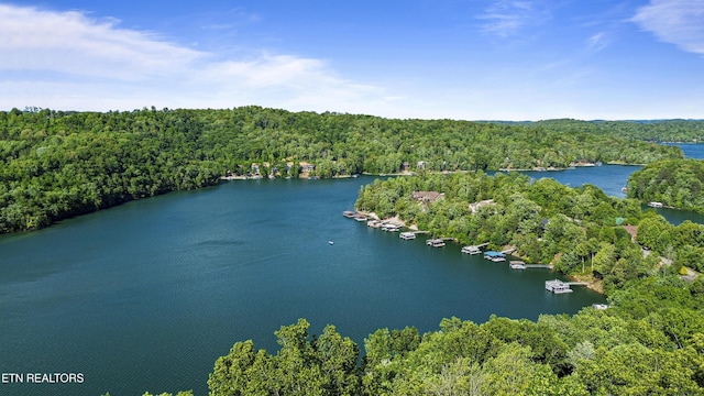 221 Stony Rock Ln, Jacksboro, TN 37757 - bird's eye view of a forest and a large body of water