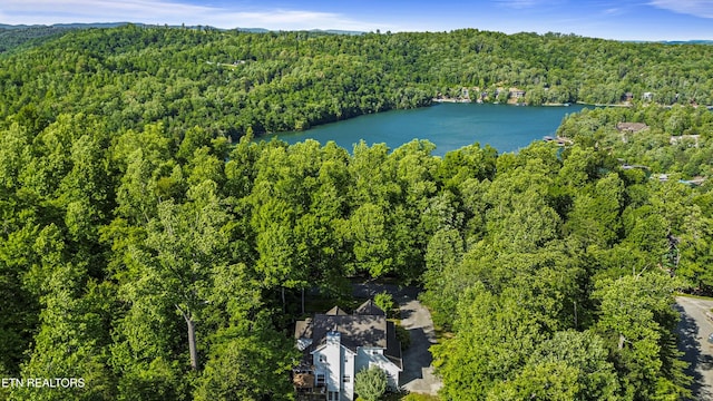 221 Stony Rock Ln, Jacksboro, TN 37757 - aerial view of a heavily wooded area and a large body of water