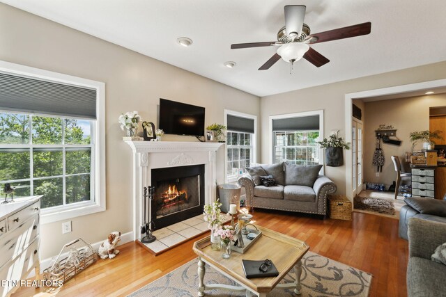 221 Stony Rock Ln, Jacksboro, TN 37757 - living area featuring plenty of natural light, a fireplace, a ceiling fan, and wood finished floors