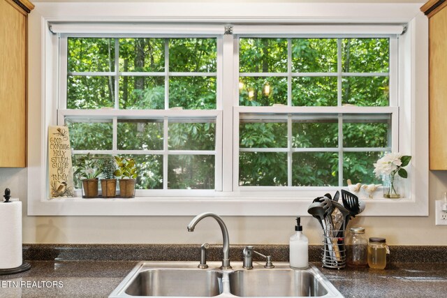 221 Stony Rock Ln, Jacksboro, TN 37757 - kitchen view of a sink and dark countertops