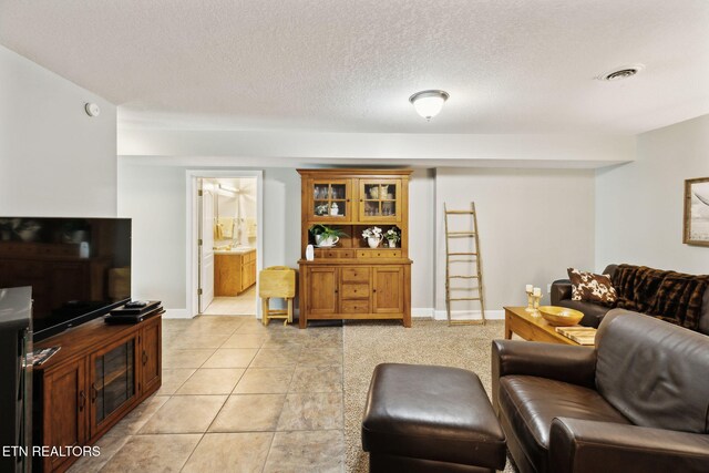 221 Stony Rock Ln, Jacksboro, TN 37757 - living room with light tile patterned flooring, a textured ceiling, and baseboards