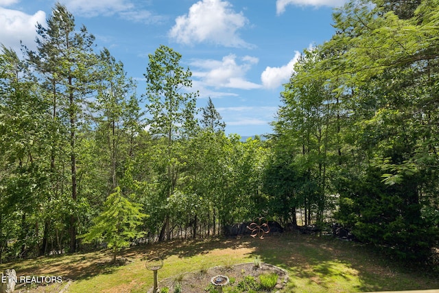 221 Stony Rock Ln, Jacksboro, TN 37757 - view of yard