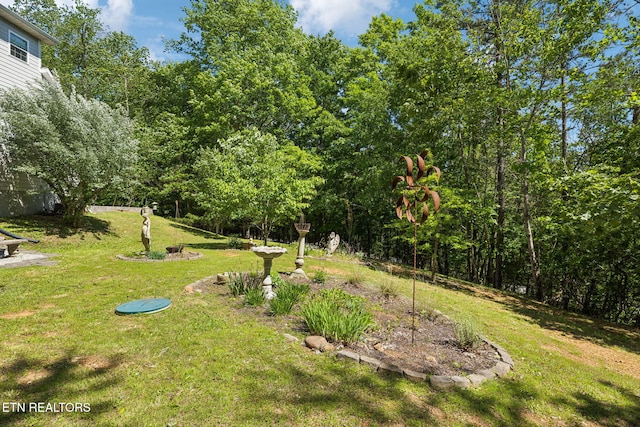 221 Stony Rock Ln, Jacksboro, TN 37757 - view of green lawn