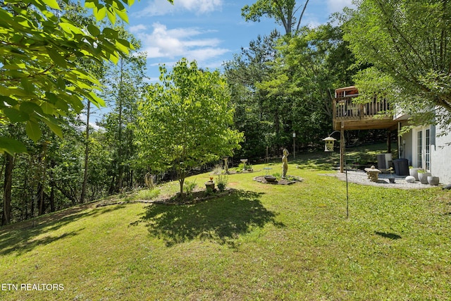 221 Stony Rock Ln, Jacksboro, TN 37757 - view of green lawn featuring a wooden deck