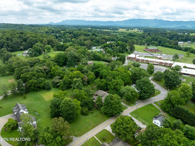 4617 Wildwood Rd, Maryville, TN 37804 - photo 52