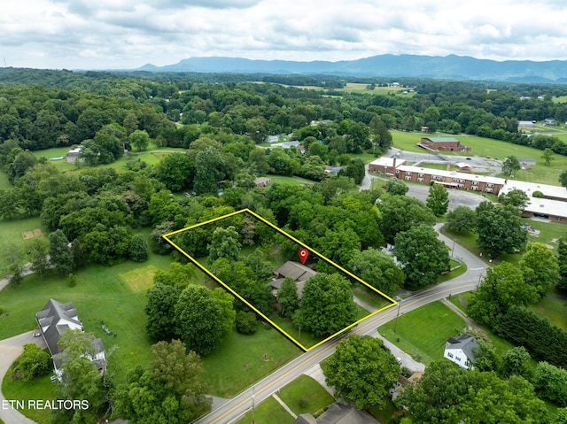 4617 Wildwood Rd, Maryville, TN 37804 - photo 5