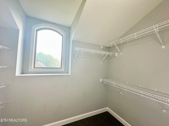129 Canary Ct, Crossville, TN 38555 - spacious closet featuring lofted ceiling