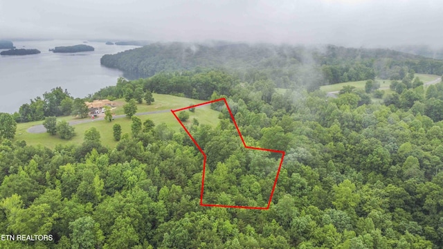 509 Hidden Forest Trl, Spring City, TN 37381