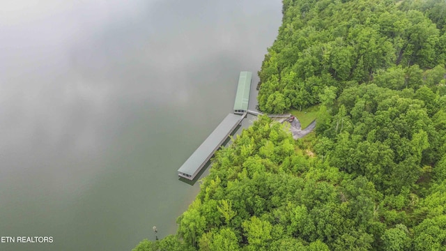 509 Hidden Forest Trl, Spring City, TN 37381