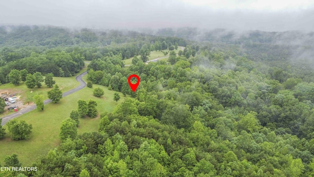 509 Hidden Forest Trl, Spring City, TN 37381