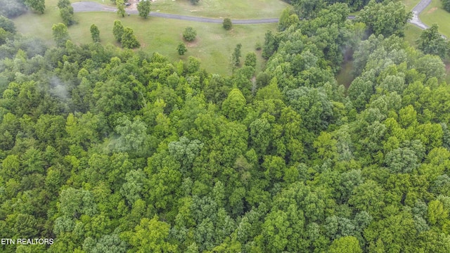 509 Hidden Forest Trl, Spring City, TN 37381