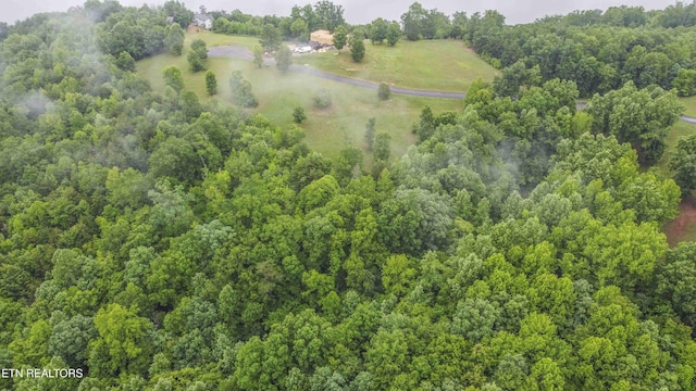 509 Hidden Forest Trl, Spring City, TN 37381