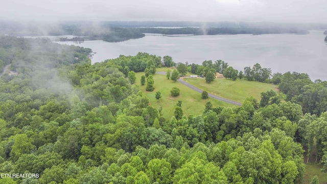 509 Hidden Forest Trl, Spring City, TN 37381