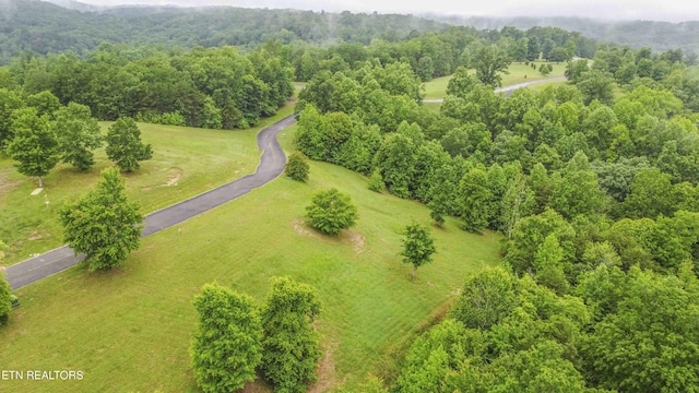 509 Hidden Forest Trl, Spring City, TN 37381